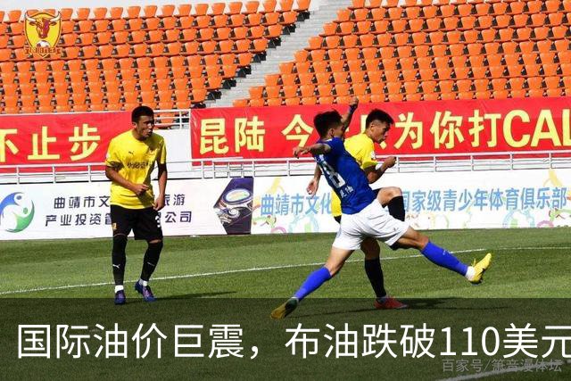 国际油价巨震，布油跌破110美元