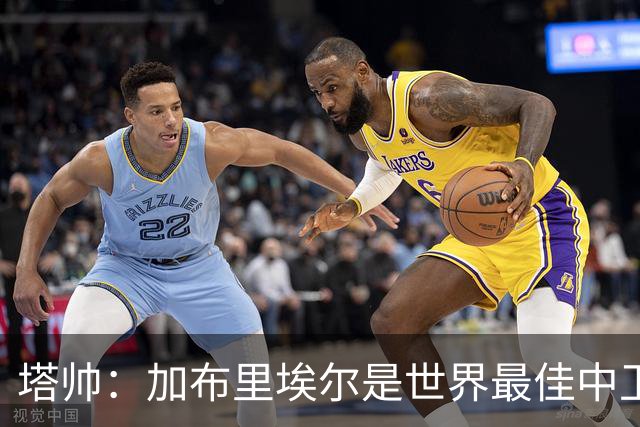 塔帅：加布里埃尔是世界最佳中卫之一，他在两个禁区的作用太强了