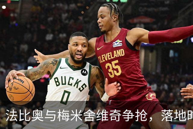 法比奥与梅米舍维奇争抢，落地时脚踝受伤