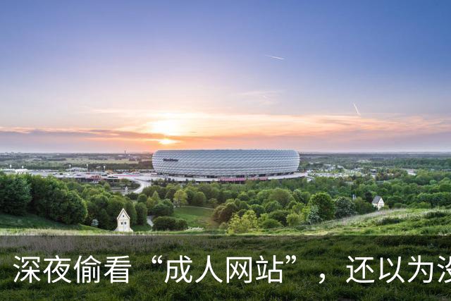 深夜偷看“成人网站”，还以为没人知道？你可能被安排得明明白白