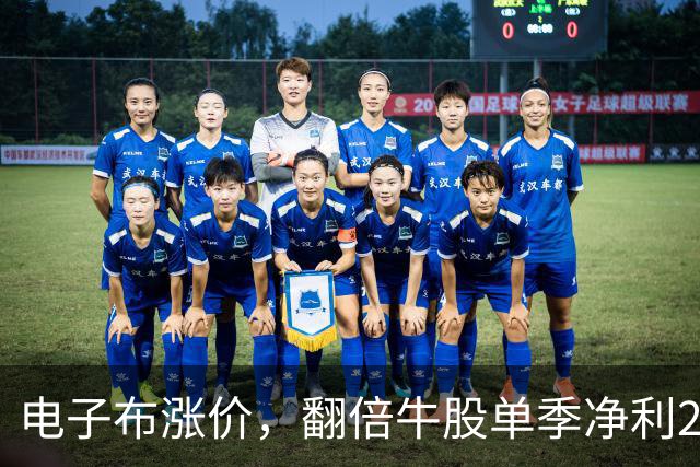 电子布涨价，翻倍牛股单季净利24亿创新高