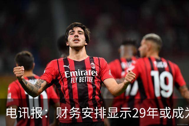 电讯报：财务安排显示29年或成为曼联调整股权结构的关键年份
