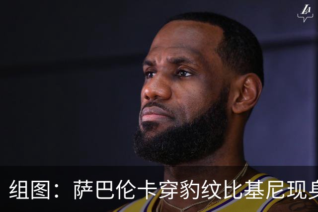 组图：萨巴伦卡穿豹纹比基尼现身海边 展示曼妙曲线