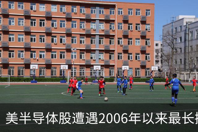 美半导体股遭遇2006年以来最长抛售潮，做空者却获利320亿美元