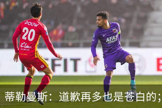 蒂勒曼斯：道歉再多也是苍白的；我们几乎所有环节都脱节了