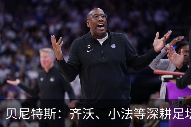 贝尼特斯：齐沃、小法等深耕足坛的人，就是意甲球队最可靠的底气
