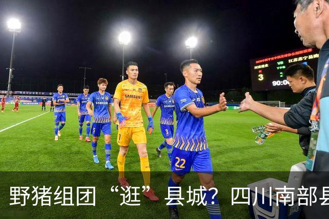 野猪组团“逛”县城？四川南部县：内容属实，不是AI