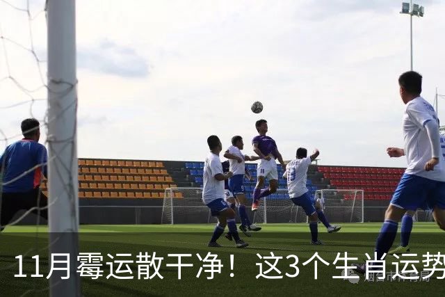 11月霉运散干净！这3个生肖运势提升一大截，机会挨个上门